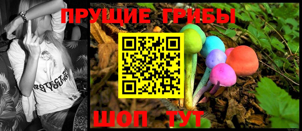 Псилоцибиновые грибы Psilocybine cubensis  Вход с VPN  Лобня 